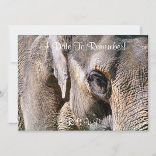 ELEPHANT EINLADUNG
