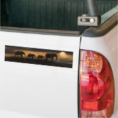 ELEPHANT ELEPHANTS AUTOAUFKLEBER (Auf Lkw)