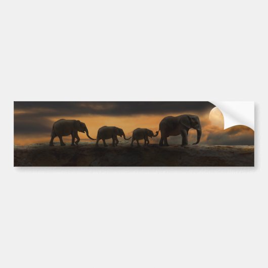 ELEPHANT ELEPHANTS-AUTOAUFKLEBER AUTOAUFKLEBER (Vorne)