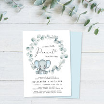 Elephant Eucalyptus Baby Boy Couples Dusche