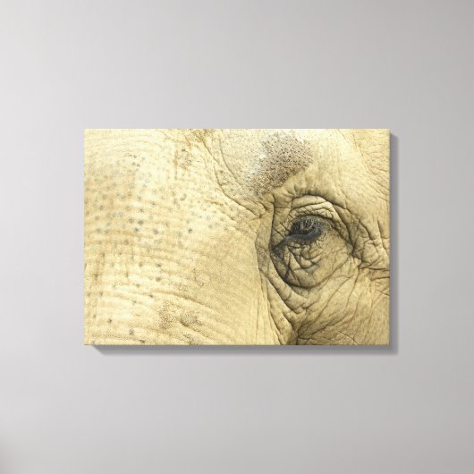 Elephant Eye Closeup Canvas Print Leinwanddruck (Vorderseite)
