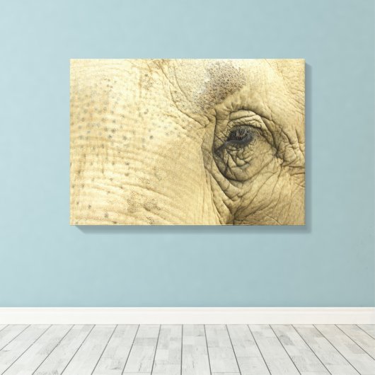 Elephant Eye Closeup Canvas Print Leinwanddruck (Insitu (Holzboden))