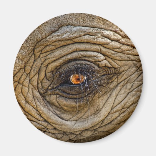 Elephant Eye Magnet (Vorne)