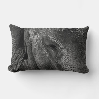 Elephant Eye Pillow Lendenkissen