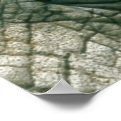 Elephant Eye Poster (Ecke)