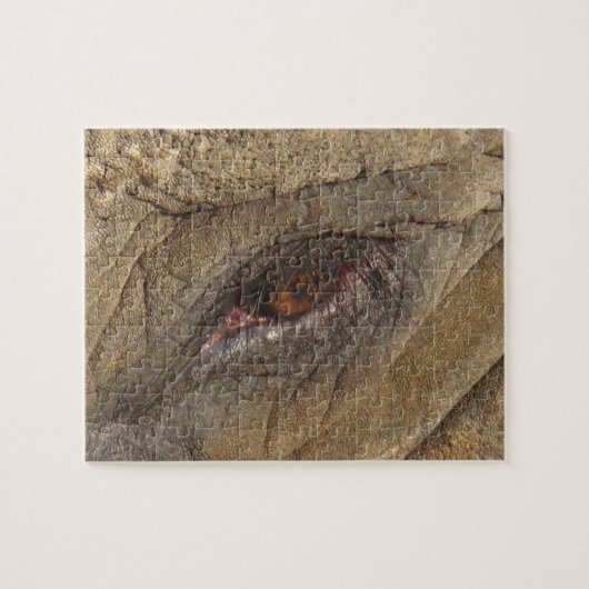 Elephant Eye Puzzle (Horizontal)