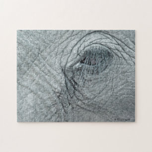Elephant Eye Puzzle