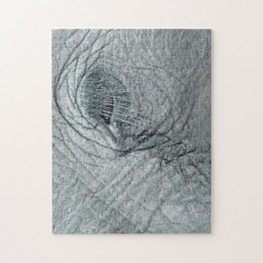 Elephant Eye Puzzle (Vertikal)