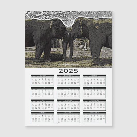 Elephant Eyes 2025 Kalender Magnetkarte (Vorderseite)