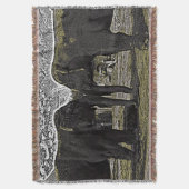 Elephant Eyes Decke (Vorderseite Vertikal)