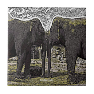 Elephant Eyes Fliese