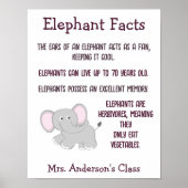 Elephant Facts-Klasse Poster (Vorne)