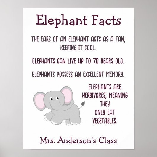Elephant Facts-Klasse Poster (Vorne)