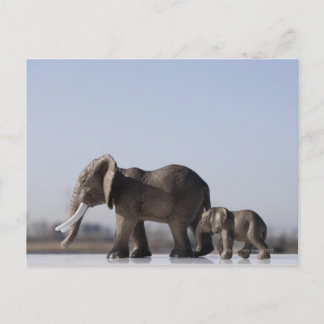 Elephant Family Hintergrund Blau Himmel Postkarte