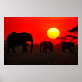 Elephant Family  in Sunset Poster