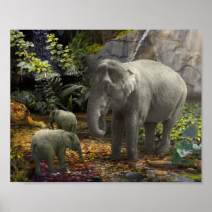Elephant Family REGENWALD-PARTY Poster