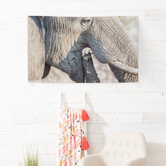 Elephant Feeding Banner (Insitu)
