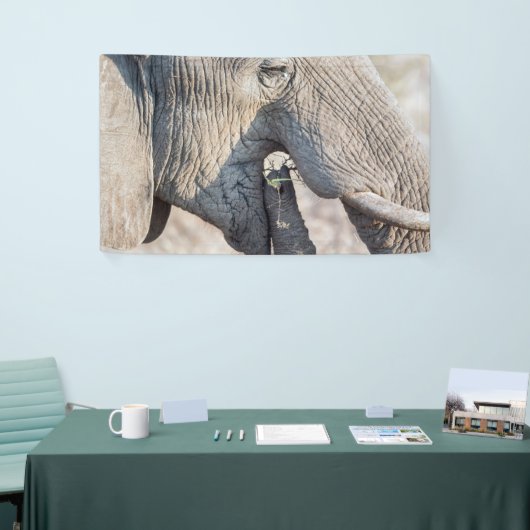 Elephant Feeding Banner (Messeveranstaltung)