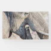 Elephant Feeding Banner (Horizontal)