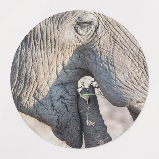 Elephant Feeding Etiketten (Design 1)
