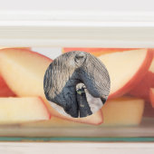 Elephant Feeding Etiketten (Befestigt)