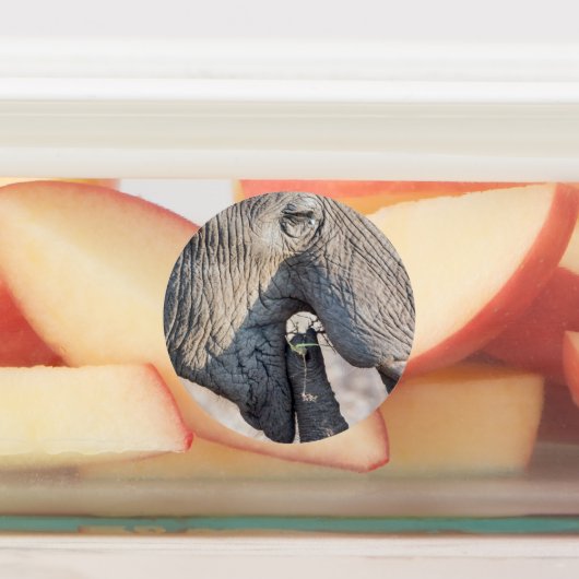 Elephant Feeding Etiketten (Befestigt)