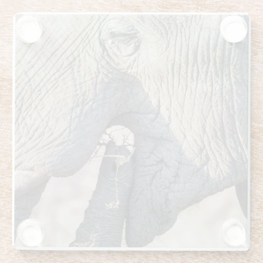 Elephant Feeding Glasuntersetzer (Rückseite)