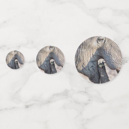 Elephant Feeding Konfetti (Rückseiten)