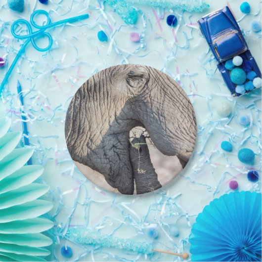 Elephant Feeding Pappteller (Party)