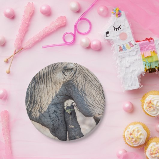 Elephant Feeding Pappteller (Party)