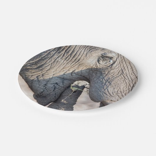 Elephant Feeding Pappteller (Schrägansicht)