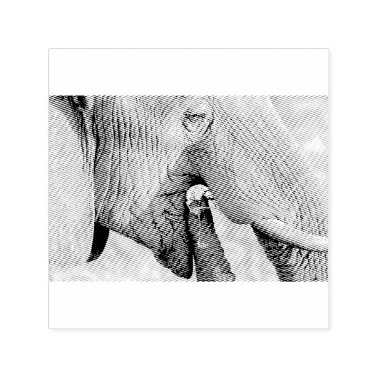 Elephant Feeding Permastempel (Design)