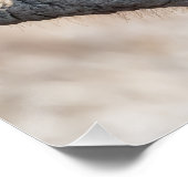 Elephant Feeding Poster (Ecke)