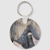Elephant Feeding Schlüsselanhänger (Vorderseite)
