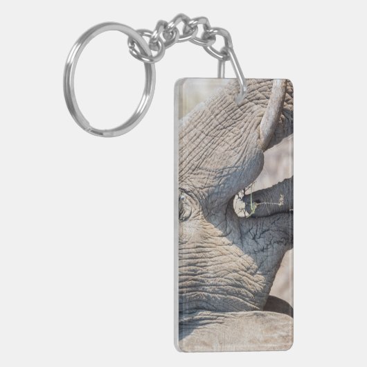 Elephant Feeding Schlüsselanhänger (Vorderseite links)