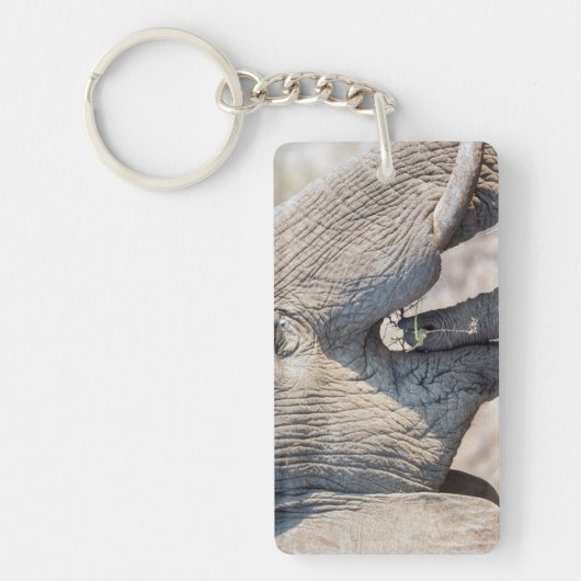 Elephant Feeding Schlüsselanhänger (Vorderseite)