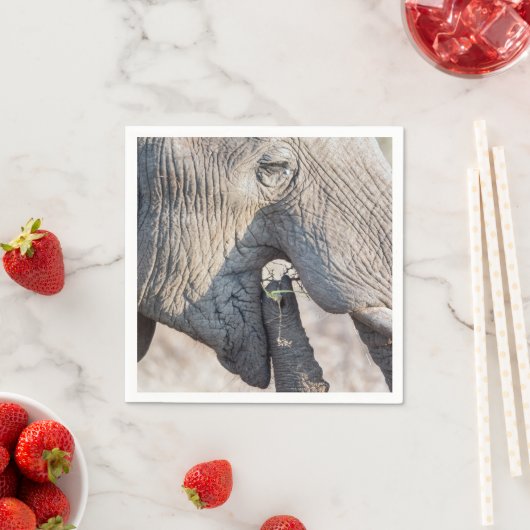 Elephant Feeding Serviette (Beispiel)