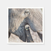 Elephant Feeding Serviette (Vorderseite)