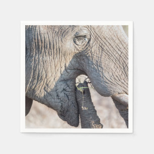 Elephant Feeding Serviette