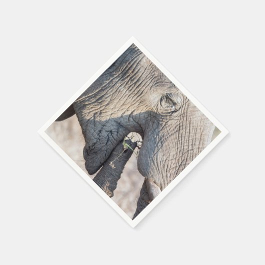 Elephant Feeding Serviette (Ecke)