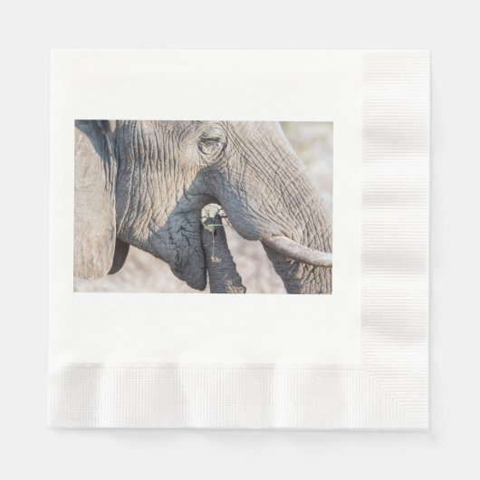 Elephant feeding serviette (Vorderseite)