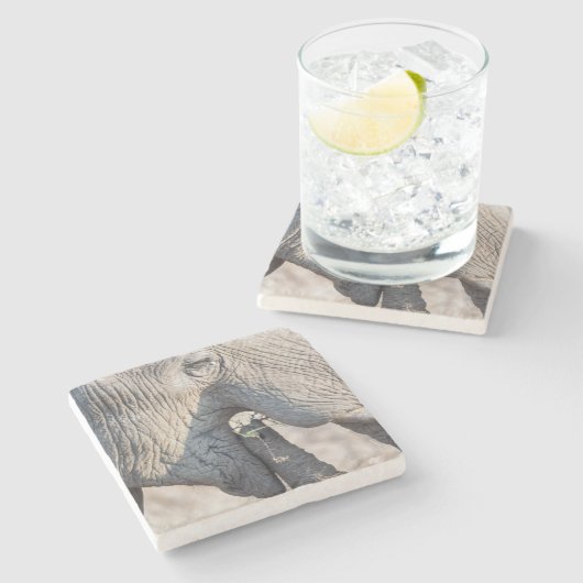 Elephant Feeding Steinuntersetzer (Seitenansicht)