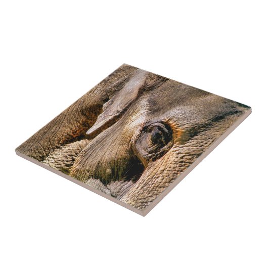 ELEPHANT FLIESE (Seite)