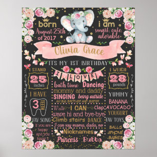 Elephant Floral First Birthday Board-Zeichen Poster
