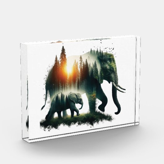 Elephant Forest  Fotoblock (Links)