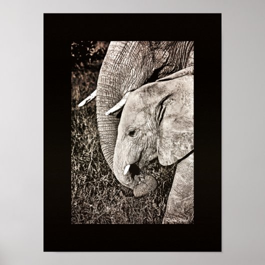 Elephant Foto African Art PORTFOLIO Größe Poster (Vorne)