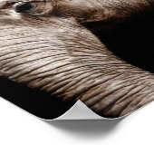 Elephant-Foto-Bild Poster (Ecke)