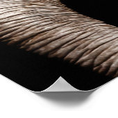 Elephant-Foto-Bild Poster (Ecke)
