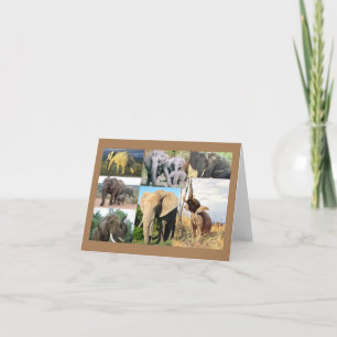 Elephant Foto Feiertagskarte