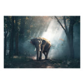 Elephant Foto Print (Vorne)